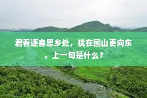 君看逐客思乡处，犹在图山更向东。上一句是什么？