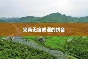 完美无疵成语的拼音