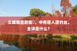 三峰烟霭碧临谿，中有骚人理钓丝。全诗是什么？