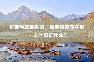 忆昔当年栽柳时，新芽茁茁嫌生迟。上一句是什么？