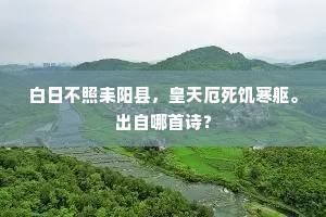 白日不照耒阳县，皇天厄死饥寒躯。出自哪首诗？