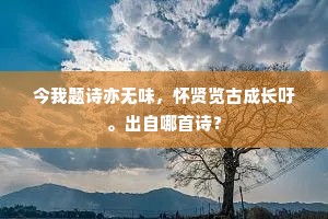 今我题诗亦无味，怀贤览古成长吁。出自哪首诗？
