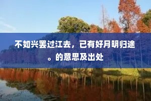 不如兴罢过江去，已有好月明归途。的意思及出处