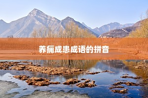 养痈成患成语的拼音