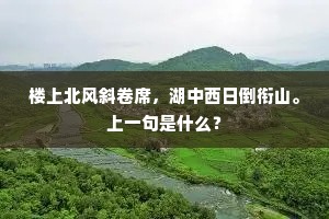 楼上北风斜卷席，湖中西日倒衔山。上一句是什么？