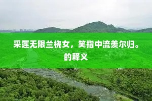 采莲无限兰桡女，笑指中流羡尔归。的释义