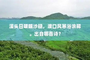溪头日暖眠沙稳，渡口风寒浴浪稀。出自哪首诗？
