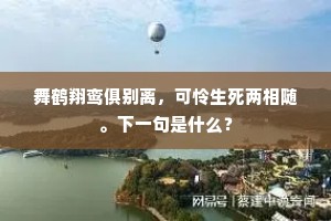 舞鹤翔鸾俱别离，可怜生死两相随。下一句是什么？