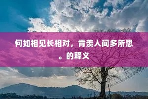 何如相见长相对，肯羡人间多所思。的释义