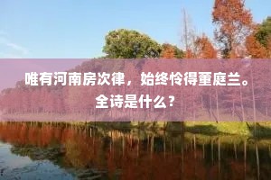 唯有河南房次律，始终怜得董庭兰。全诗是什么？