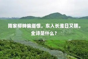 隋家柳畔偏堪恨，东入长淮日又曛。全诗是什么？