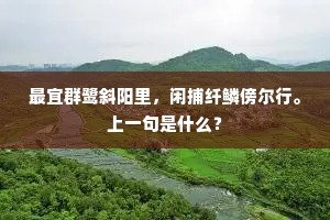 最宜群鹭斜阳里，闲捕纤鳞傍尔行。上一句是什么？