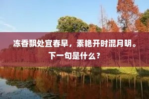 冻香飘处宜春早，素艳开时混月明。下一句是什么？