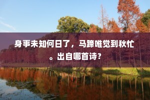 身事未知何日了，马蹄唯觉到秋忙。出自哪首诗？