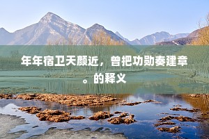 年年宿卫天颜近，曾把功勋奏建章。的释义