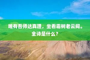 唯有吾师达真理，坐看霜树老云间。全诗是什么？