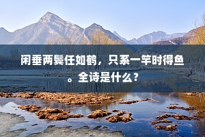 闲垂两鬓任如鹤，只系一竿时得鱼。全诗是什么？