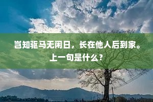岂知驱马无闲日，长在他人后到家。上一句是什么？