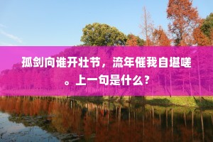 孤剑向谁开壮节，流年催我自堪嗟。上一句是什么？