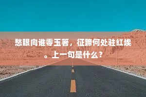 愁眼向谁零玉箸，征蹄何处驻红埃。上一句是什么？