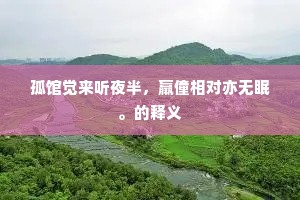 孤馆觉来听夜半，羸僮相对亦无眠。的释义