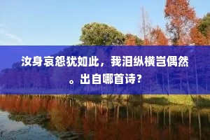 汝身哀怨犹如此，我泪纵横岂偶然。出自哪首诗？