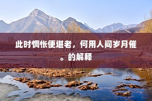 此时惆怅便堪老，何用人间岁月催。的解释