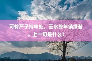 可怜严子持竿处，云水终年锁绿苔。上一句是什么？