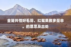 金笼共惜好毛羽，红觜莫教多是非。的意思及出处