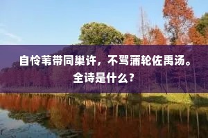 自怜苇带同巢许，不驾蒲轮佐禹汤。全诗是什么？