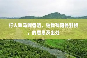 行人骏马嘶香陌，独我残阳倚野桥。的意思及出处