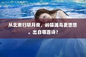 从北南归明月夜，岭猿滩鸟更悠悠。出自哪首诗？