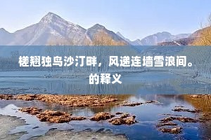 槎翘独鸟沙汀畔，风递连墙雪浪间。的释义