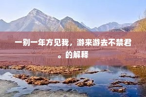 一别一年方见我，游来游去不禁君。的解释