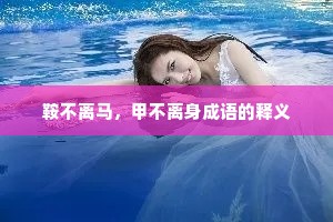 鞍不离马，甲不离身成语的释义