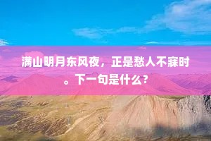 满山明月东风夜，正是愁人不寐时。下一句是什么？