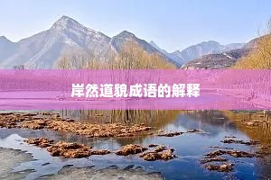 岸然道貌成语的解释