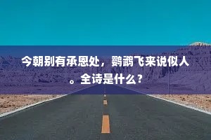 今朝别有承恩处，鹦鹉飞来说似人。全诗是什么？