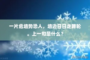 一片危墙势恐人，墙边日日走蹄轮。上一句是什么？