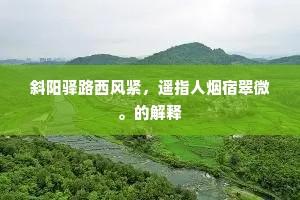斜阳驿路西风紧，遥指人烟宿翠微。的解释