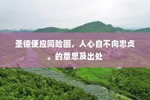 圣德便应同险固，人心自不向忠贞。的意思及出处