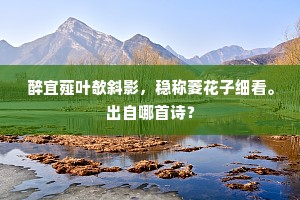 醉宜薤叶欹斜影，稳称菱花子细看。出自哪首诗？