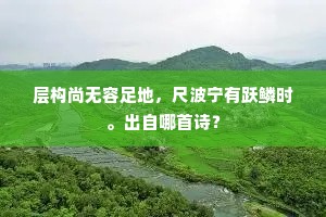层构尚无容足地，尺波宁有跃鳞时。出自哪首诗？