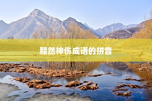 黯然神伤成语的拼音