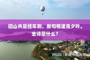 旧山共是经年别，新句相逢竟夕吟。全诗是什么？