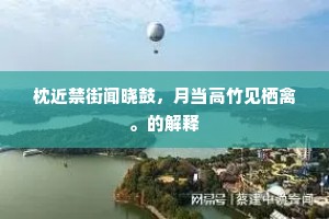 枕近禁街闻晓鼓，月当高竹见栖禽。的解释