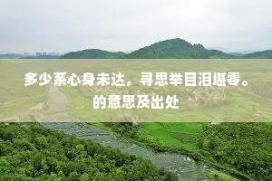 多少系心身未达，寻思举目泪堪零。的意思及出处