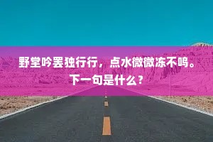野堂吟罢独行行，点水微微冻不鸣。下一句是什么？