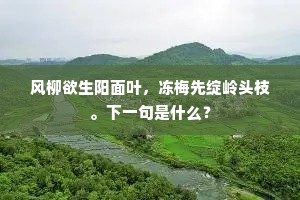 风柳欲生阳面叶，冻梅先绽岭头枝。下一句是什么？