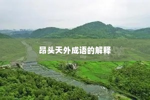 昂头天外成语的解释